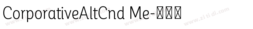 CorporativeAltCnd Me字体转换 CorporativeAltCnd Me字体转换